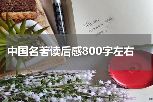 中国名著读后感800字左右
