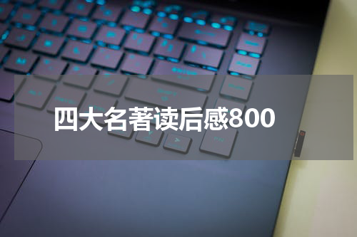 四大名著读后感800