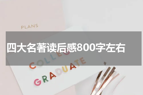 四大名著读后感800字左右