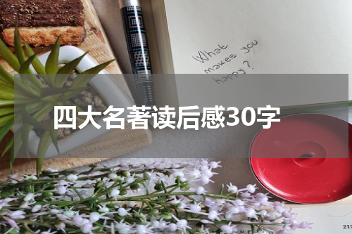 四大名著读后感30字