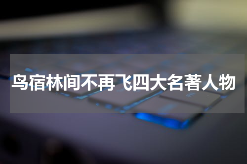 鸟宿林间不再飞四大名著人物