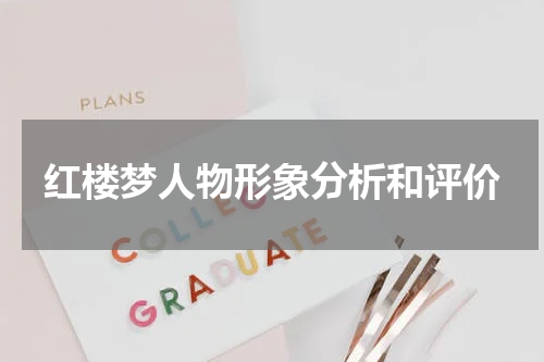 红楼梦人物形象分析和评价