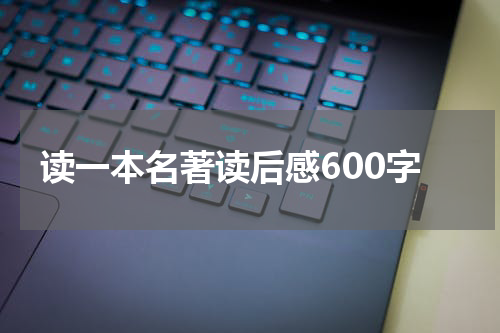 读一本名著读后感600字