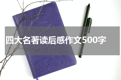 四大名著读后感作文500字