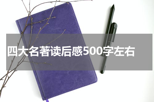 四大名著读后感500字左右