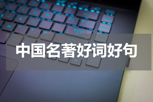 中国名著好词好句