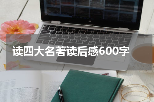 读四大名著读后感600字