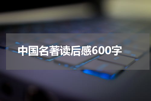 中国名著读后感600字