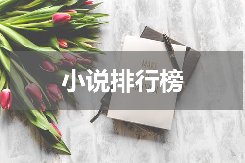 小说排行榜