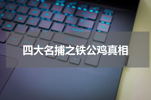 四大名捕之铁公鸡真相