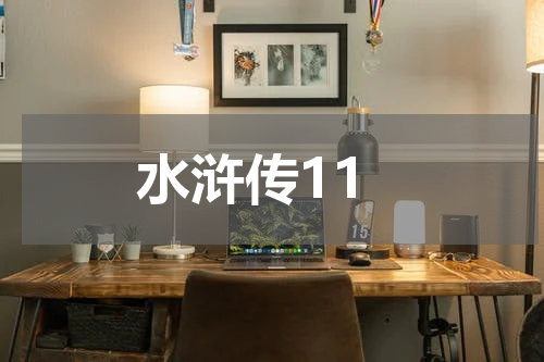 水浒传11