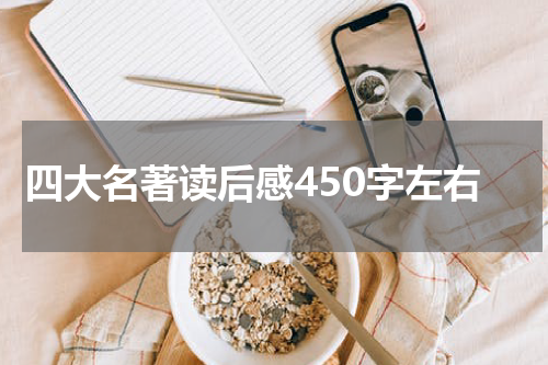 四大名著读后感450字左右