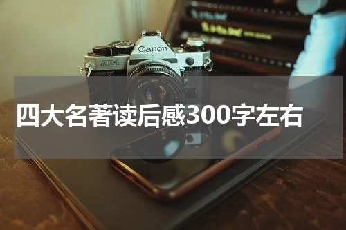 四大名著读后感300字左右