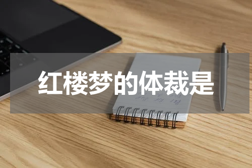 红楼梦的体裁是