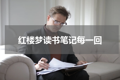 红楼梦读书笔记每一回