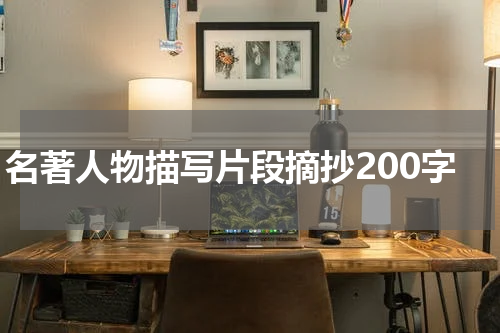 名著人物描写片段摘抄200字
