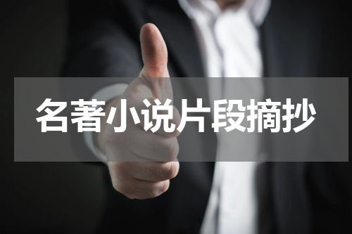 名著小说片段摘抄