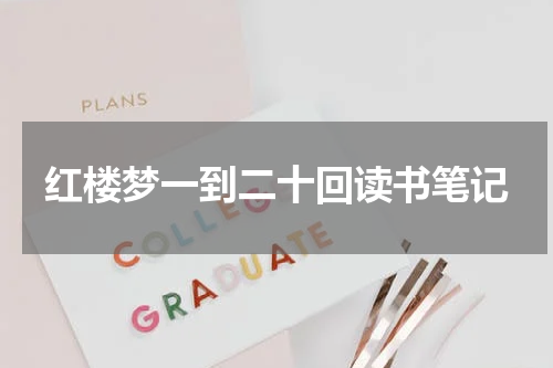 红楼梦一到二十回读书笔记