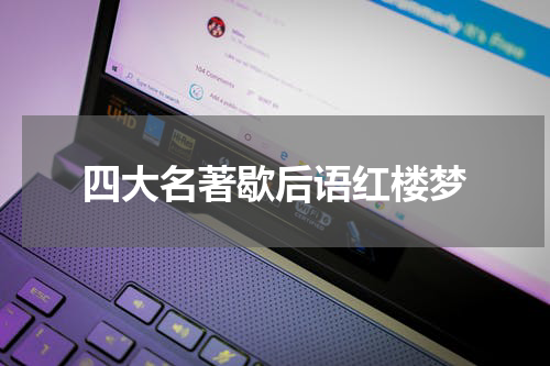 四大名著歇后语红楼梦