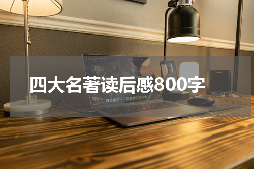 四大名著读后感800字
