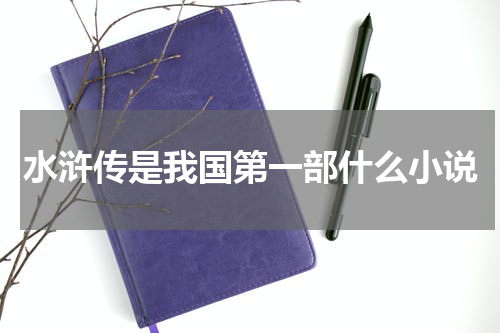 水浒传是我国第一部什么小说