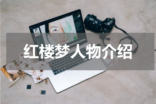 红楼梦人物介绍