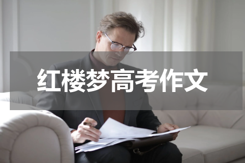 红楼梦高考作文