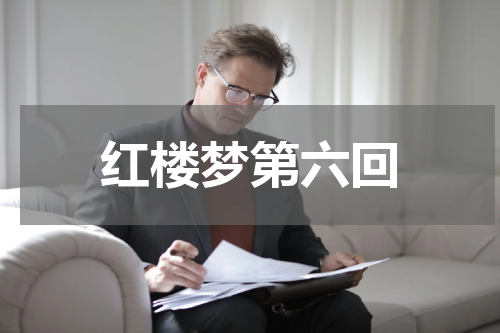 红楼梦第六回