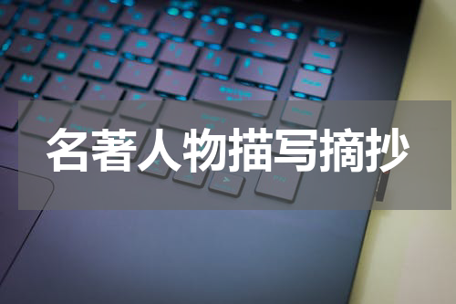 名著人物描写摘抄