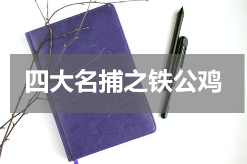 四大名捕之铁公鸡