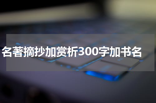 名著摘抄加赏析300字加书名