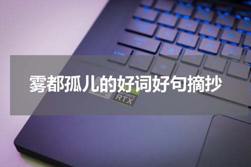 雾都孤儿的好词好句摘抄