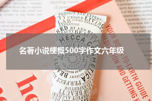 名著小说梗概500字作文六年级