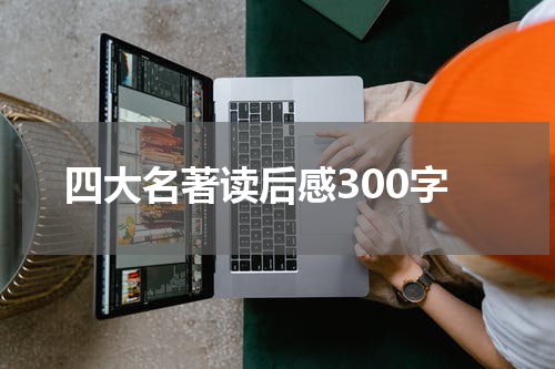 四大名著读后感300字