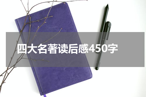 四大名著读后感450字