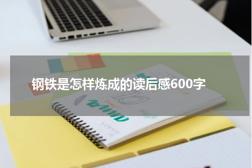 钢铁是怎样炼成的读后感600字