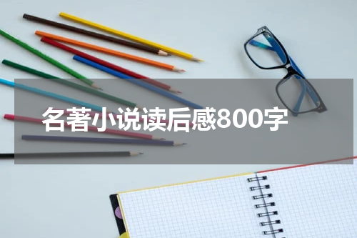 名著小说读后感800字