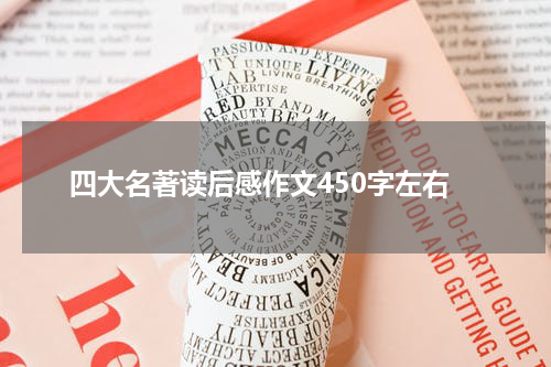 四大名著读后感作文450字左右