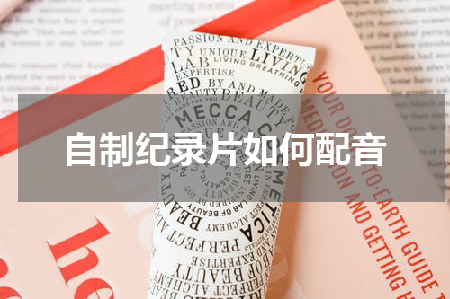 自制纪录片如何配音