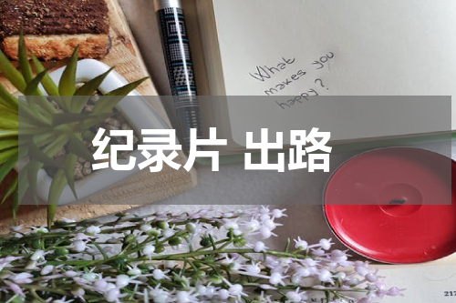 纪录片 出路
