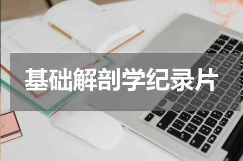 基础解剖学纪录片