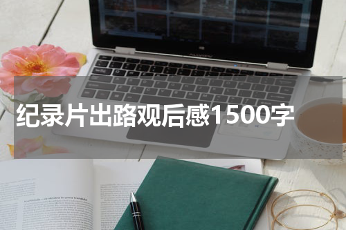 纪录片出路观后感1500字