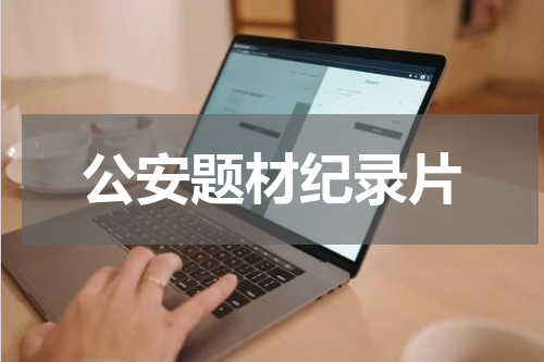公安题材纪录片