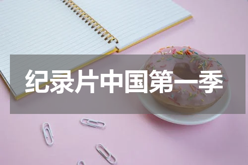 纪录片中国第一季