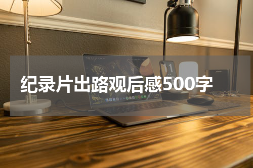 纪录片出路观后感500字