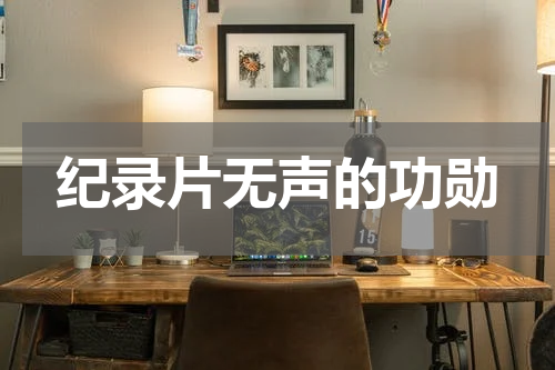 纪录片无声的功勋
