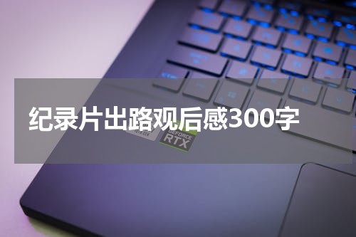 纪录片出路观后感300字