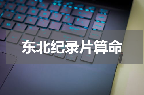 东北纪录片算命