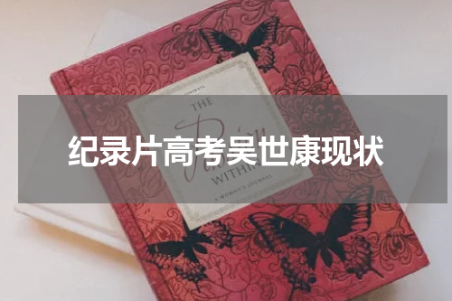 纪录片高考吴世康现状