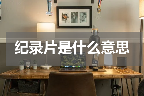 纪录片是什么意思
